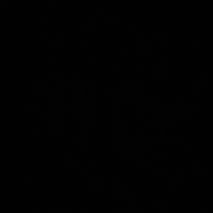 Meet your Posher, Bryan